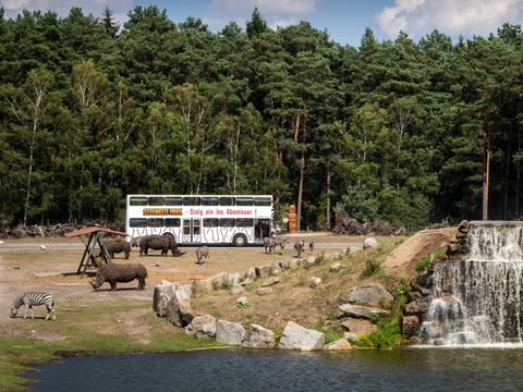 Serengeti Park - Camping Basse-saxe - Image N°3