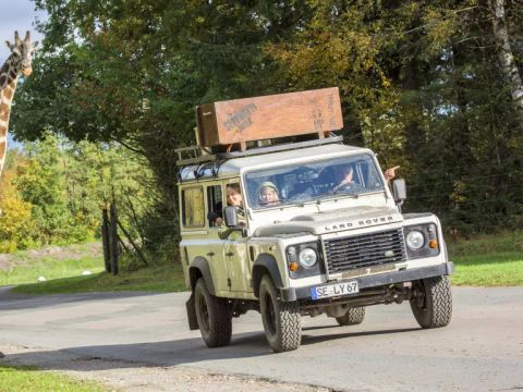 Serengeti Park - Camping Basse-saxe - Image N°7