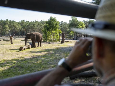 Serengeti Park - Camping Basse-saxe - Image N°5