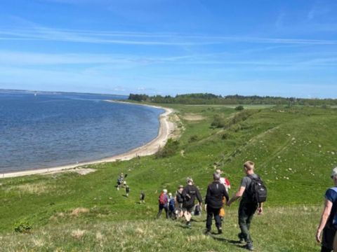 Vodatent Hvalpsund Familie Camping - Camping Sjaelland