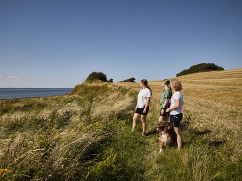 Vodatent Emmerbølle Strand Camping - Camping Danemark du Sud - Image N°3