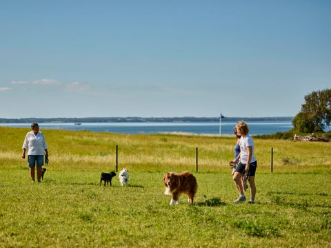 Vodatent Emmerbølle Strand Camping - Camping Danemark du Sud - Image N°2