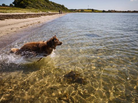 Vodatent Emmerbølle Strand Camping - Camping Danemark du Sud - Image N°4