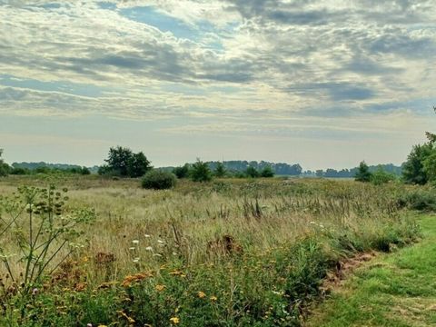 Vodatent Camping Hunze Bulten - Camping Aa en Hunze - Image N°4