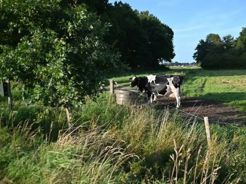 Vodatent Camping Hunze Bulten - Camping Aa en Hunze - Image N°5