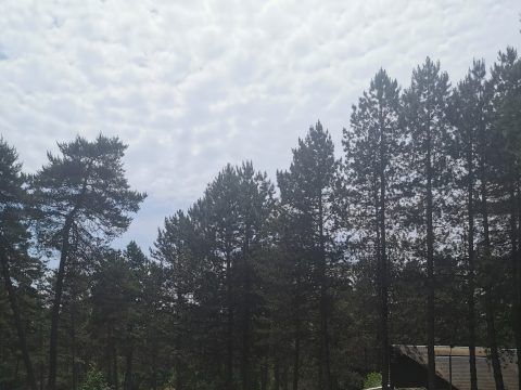 Camping Les Sapins de Corrèze - Camping Corrèze