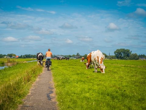 MarinaPark Beach Resort Soal - Camping Súdwest-Fryslân - Image N°26