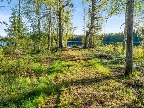Vaikko Riverside Resort - Camping North Karelia - Image N°8