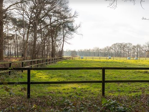 De Leughte Resort Renswoude - Camping Renswoude - Image N°25