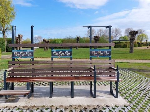 Kustpark Nieuwpoort - Camping Flandre Occidentale - Image N°5