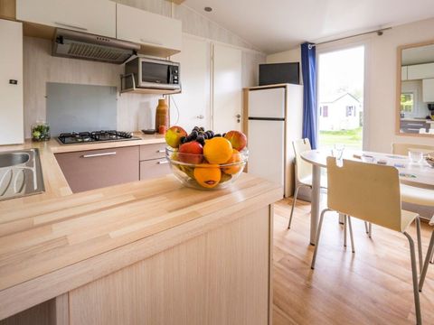 Ardennen Camping Bertrix - Camping Luxembourg - Image N°5