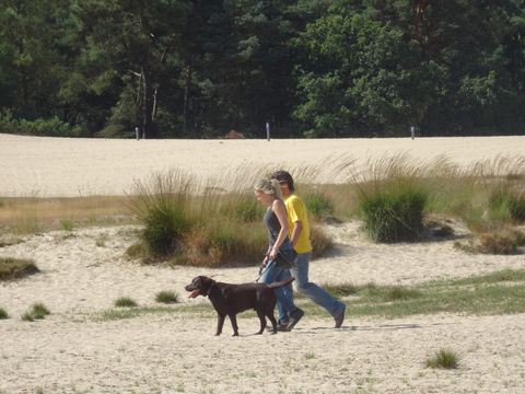 Recreatiepark Duinhoeve - Camping Tilburg - Image N°17