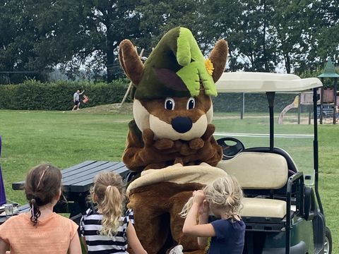 Recreatiepark Duinhoeve - Camping Tilburg - Image N°9