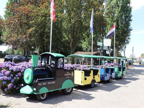 Recreatiepark Duinhoeve - Camping Tilburg - Image N°3