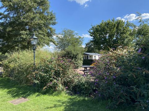 Recreatiepark Duinhoeve - Camping Tilburg - Image N°4