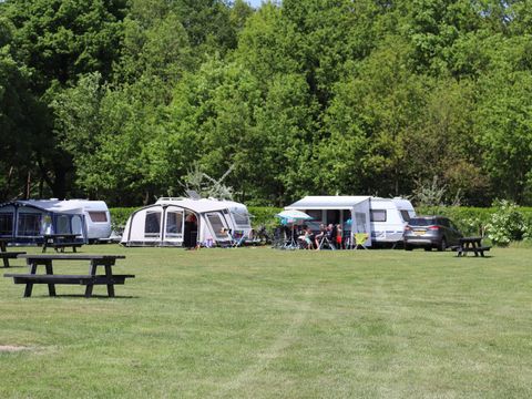 Recreatiepark Duinhoeve - Camping Tilburg - Image N°14