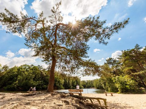 Recreatiepark Duinhoeve - Camping Tilburg - Image N°15