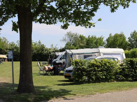Recreatiepark Duinhoeve - Camping Tilburg - Image N°13