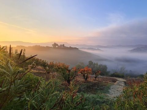 Vodatent Agricola la Casetta - Camping Ascoli Piceno - Image N°5
