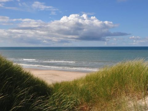 Vodatent Tornby Strand Camping - Camping Jutland du Nord - Image N°2