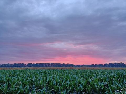 Vodatent Boerderijcamping het Katreel - Camping Haaksbergen - Image N°5