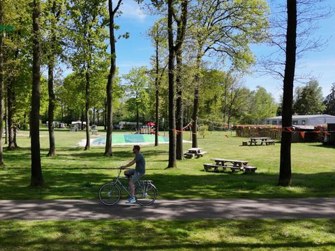 Vodatent Park Drentheland - Camping Westerveld - Image N°3