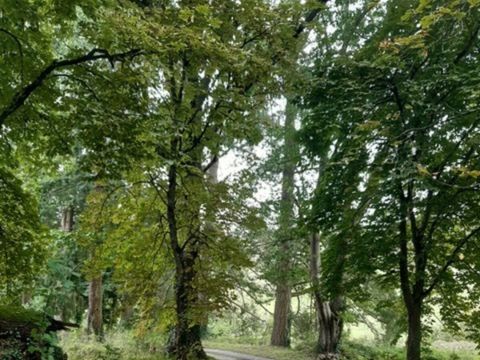 Vodatent Domaine le Faulion - Camping Saône-et-Loire - Image N°5