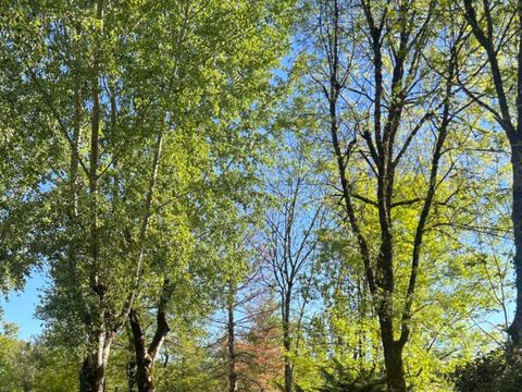 Vodatent Camping Les Rives de Courtes - Camping Gers - Image N°5