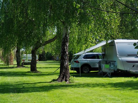 Vodatent Camping de Boerenzwaluw - Camping Hollands Kroon - Image N°5