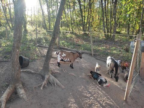 Vodatent Camping Pagel - Camping Lot - Image N°5