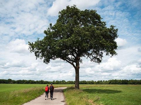 Landgoed de Huynen - Camping Aa en Hunze - Image N°4