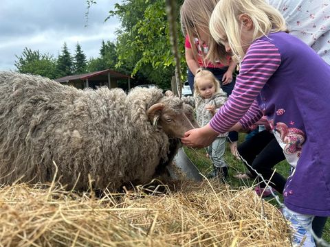 Zomers Buiten - Camping Pekela
