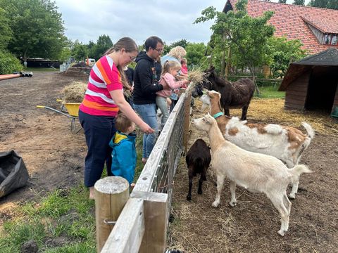 Zomers Buiten - Camping Pekela - Image N°2