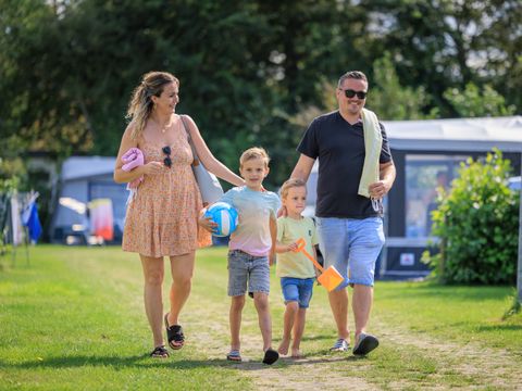 Camping Ginsterveld - Camping Schouwen-Duiveland - Image N°3