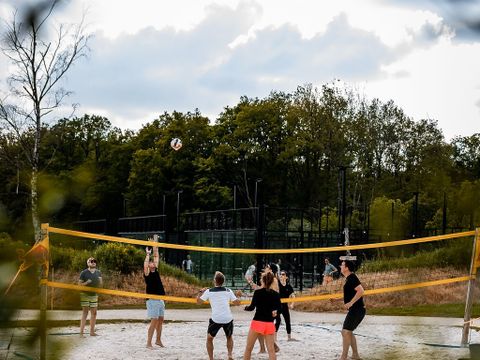 Glamping Durbuy Greenfields - Camping Luxembourg