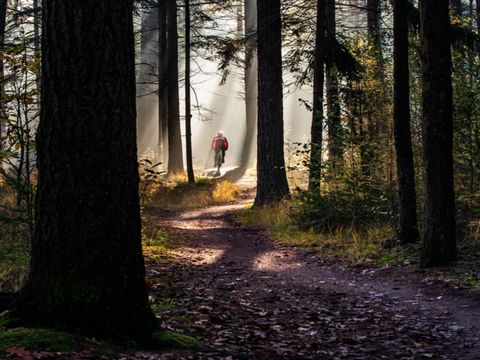 Vakantiepark Sandberghe - Camping Uden