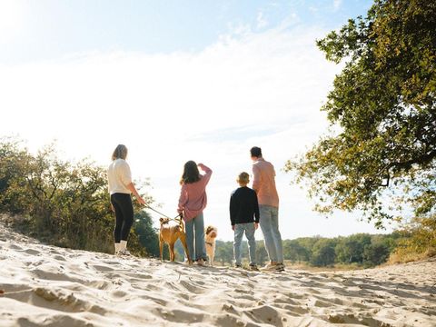 Vakantiepark Sandberghe - Camping Uden - Image N°4