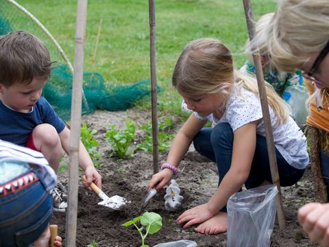 Vakantiepark Sandberghe - Camping Uden - Image N°18