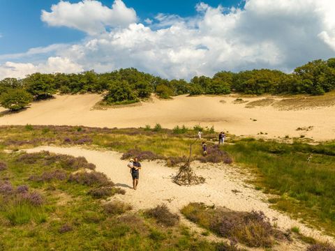 Vakantiepark Sandberghe - Camping Uden - Image N°34