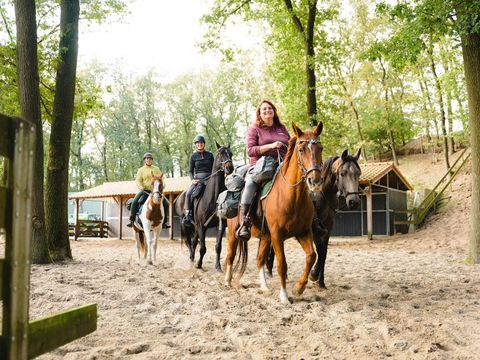 Vakantiepark Sandberghe - Camping Uden - Image N°7