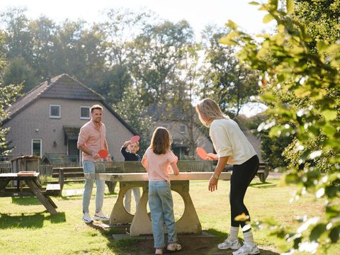 Vakantiepark Sandberghe - Camping Uden - Image N°14