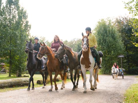 Vakantiepark Sandberghe - Camping Uden - Image N°8