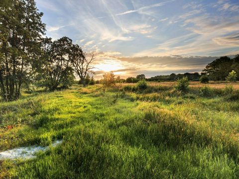 Vakantiepark Sandberghe - Camping Uden - Image N°36