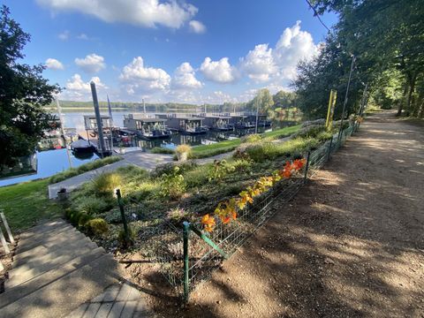 Waterhuisjes Uitgeest - Camping Uitgeest - Image N°2