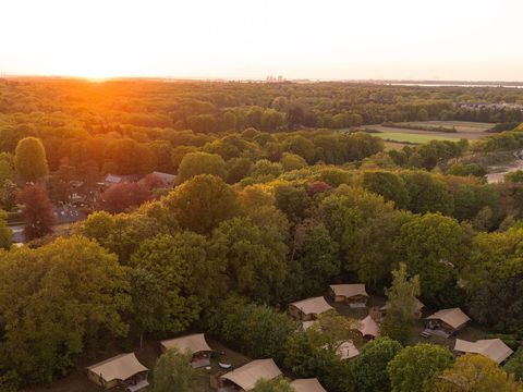 Buytenplaats Gooise Heide - Camping Huizen