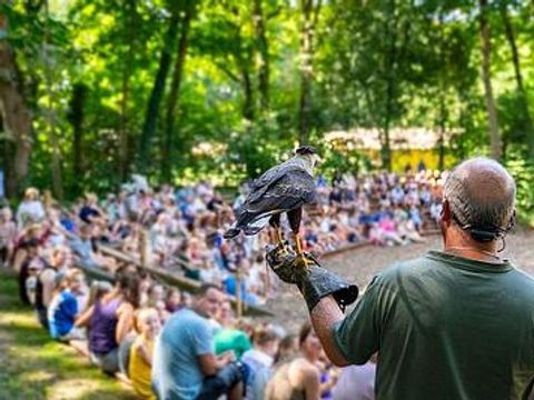 Buytenplaats Gooise Heide - Camping Huizen