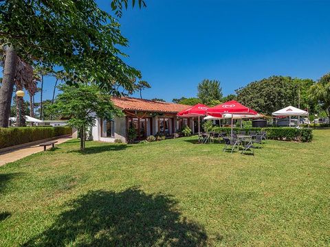 Camping Angeiras - Camping Nord du Portugal