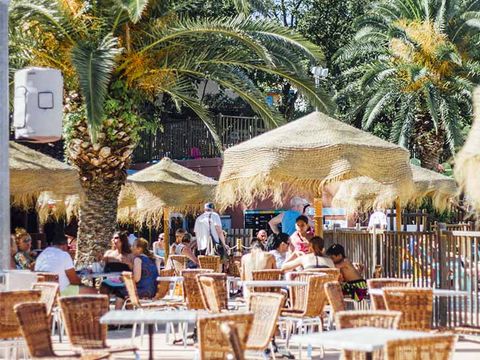 Camping Le Bois Fleuri - Camping Pyrénées-Orientales