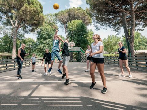 Camping Les Pins - Camping Pyrénées-Orientales