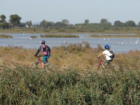 Camping Crin Blanc - Camping Bouches-du-Rhône